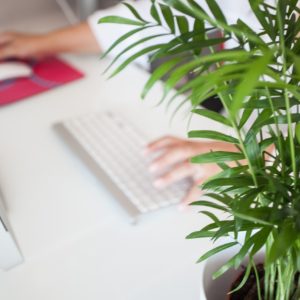 Ouverture inscription ALSH mercredi dernier trimestre