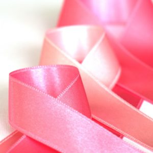 Atelier Brigade Rose