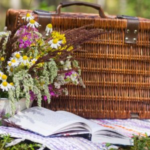 Pique-nique en famille sensorialité et motricité