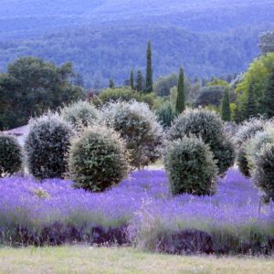 Séjour 11-17 ans Alimen&rsquo;terre