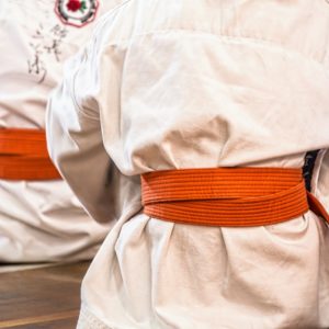 Nouveauté 24-25 : Ju-Jutsu